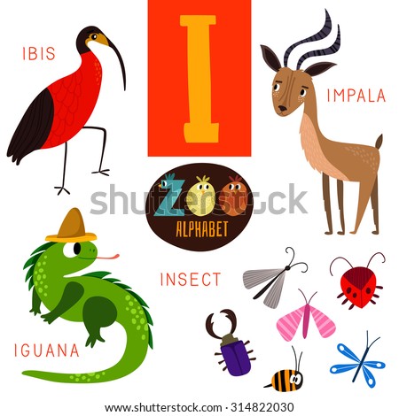 Cute zoo alphabet in vector.I letter. Funny cartoon animals:Ibis,impala,iguana,insect. Alphabet design in a colorful style.
