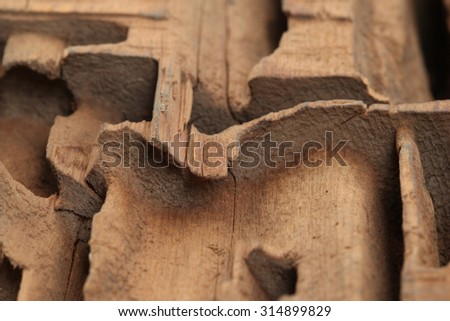 close-up block cutting wood termites on white studio background