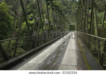 France, Martinique, bridge of Grand Riviere, horizontal picture