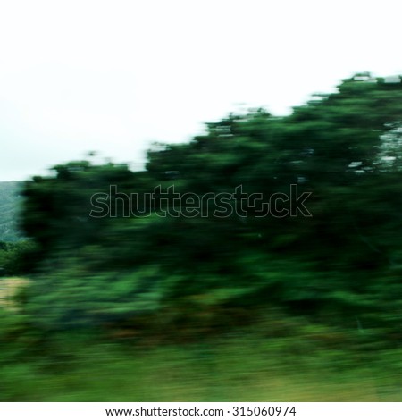 Blurred action from car at high speed - retro effect photo. Vague view through moving car window. De-focused trees viewed through a car windscreen. Ring of Kerry, Ireland.