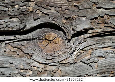 Background of old wood damaged by the time