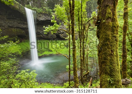 The South Falls in the Silver Falls State Park, Oregon, USA.
