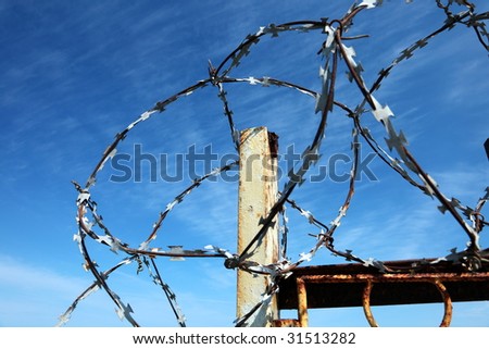 Barbed wire tense on a fence against the blue sky