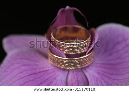 Closeup of violet fresh orchid flower with two beautiful wedding golden rings on dark blur backgroud, horizontal picture