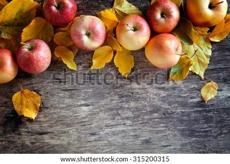 Close up photograph of a colorful fall backdrop