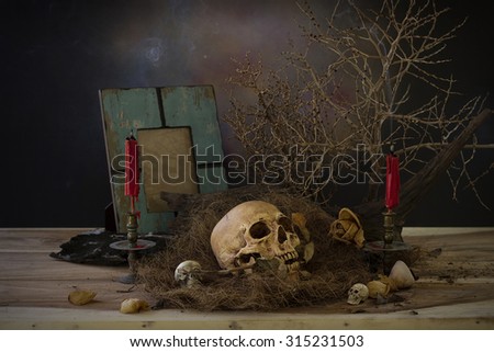 Old skull on wood