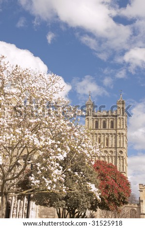 view of Exeter cathedral with magnolia trees in blossom during spring