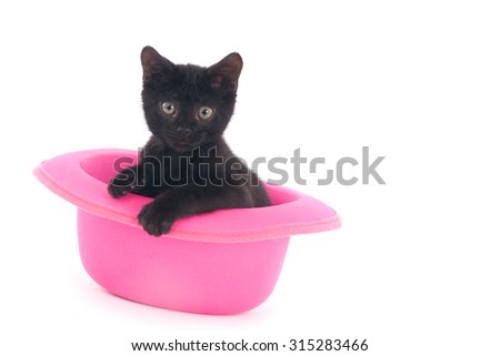 Black kitten in a pink hat, isolated on white