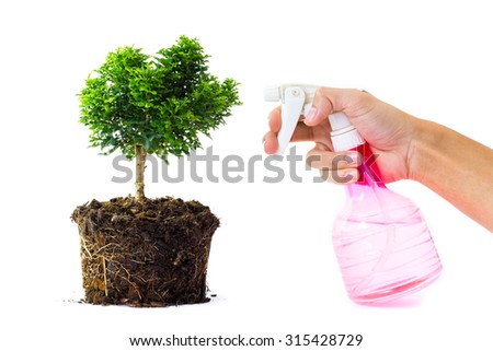 little Tree in the pots isolated on white background, with roots