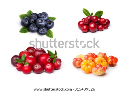 Set of wild northern berries: bilberry,cloudberry, lingonberry,cranberry. Studio shoot,large depth of field, retouched. Royalty-Free Stock Photo #315439526