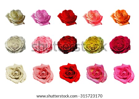 set isolated on white background roses