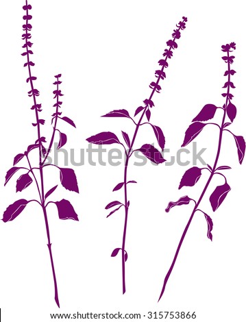 Set of pink silhouettes of plants with leaves and flowers . Vector illustration .