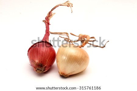 Picture of an Onion. Food and diet concept