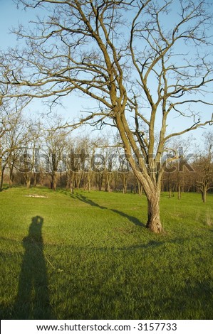 Photographers shadow on green meadow