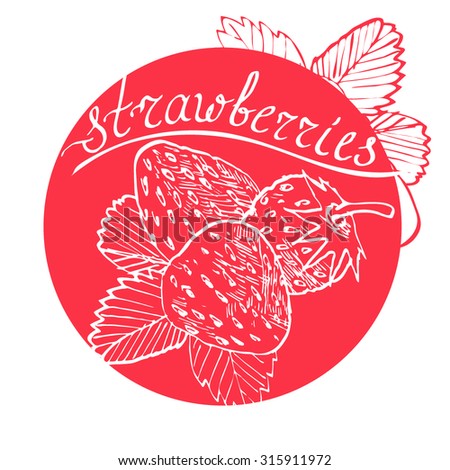 Hand drawn strawberries. 