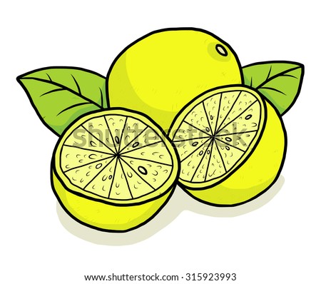 yellow lime / cartoon vector and illustration, hand drawn style, isolated on white background.