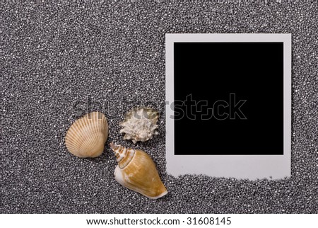 Photo frame with sea shells on silver sand background