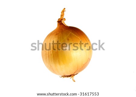 onion - symbolic image for food