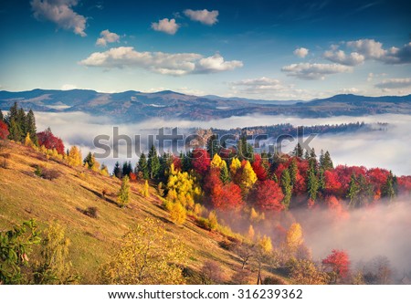 Colorful autumn morning in the Carpathian mountains. Sokilsky ridge, Ukraine, Europe.