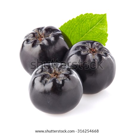 Chokeberry in closeup Royalty-Free Stock Photo #316254668