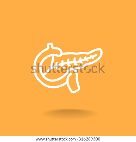 Pancreas flat icon