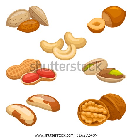 Set of nuts Royalty-Free Stock Photo #316292489