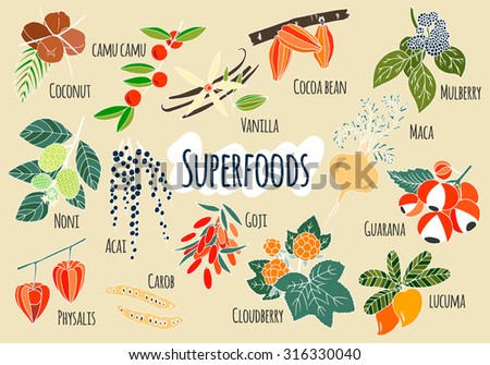 Vector hand drawn superfoods. Fresh fruits sketch background. Illustration for your design. Royalty-Free Stock Photo #316330040