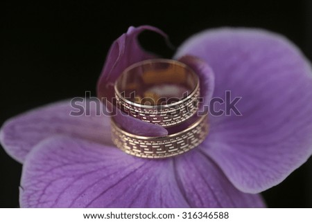 Closeup of lilac fresh orchid flower with two beautiful wedding gold rings on dark blur backgroud, horizontal picture
