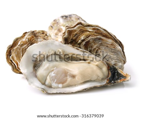 Fresh opened oyster on white background Royalty-Free Stock Photo #316379039