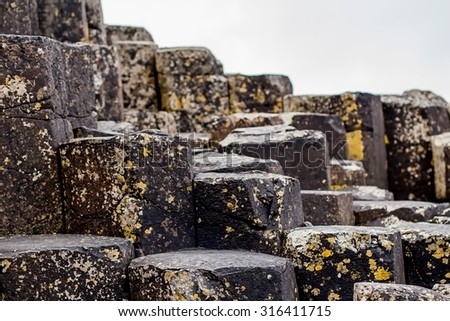 Landscape of polygonal column? in Giant's Causeway in Northern Ireland. Image with selective focus