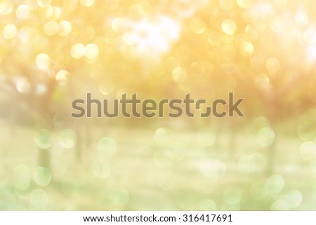 abstract photo of light burst among trees and glitter bokeh lights. image is blurred and filtered . 