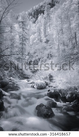 Landscape. Infrared photography.