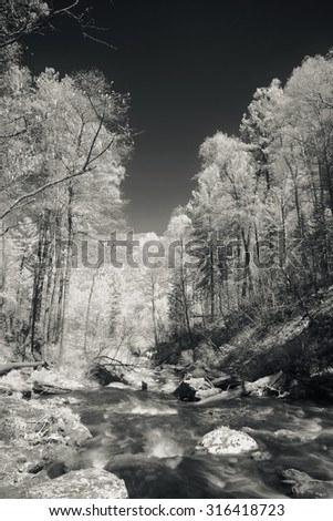 Landscape. Infrared photography.