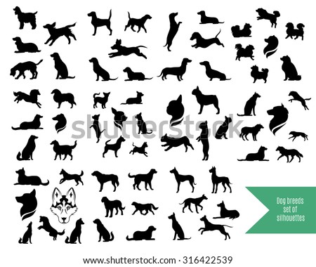 The big vector set of dog breeds silhouettes and icons. 