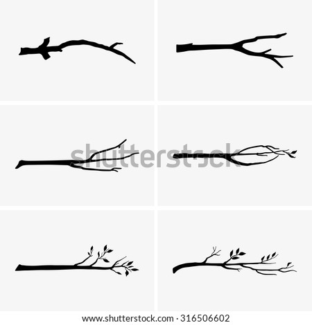 Tree branches Royalty-Free Stock Photo #316506602