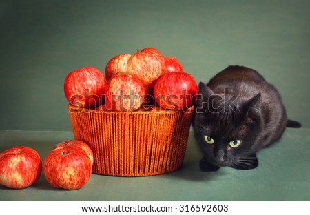 black cat and red apples on blue background