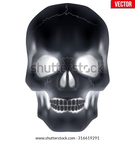 X-ray Human skull. Vector Illustration isolated on white background.