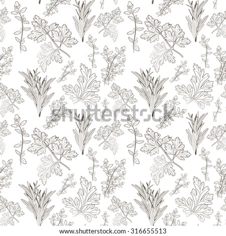 Vector sketch of fresh parsley, thyme and rosemary herbs on white background. Seamless pattern.