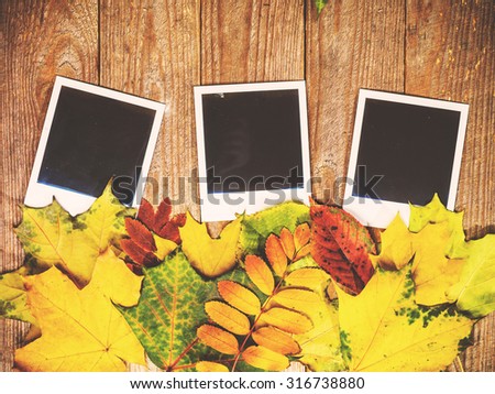 Autumn background with colorful leaves on rustic wooden board. Creating fall season memories with retro photo cards of photo frames. Thanksgiving and Halloween holidays concept. Copyspace 