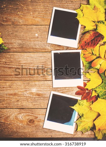 Autumn background with colorful leaves on rustic wooden board. Creating fall season memories with retro photo cards of photo frames. Thanksgiving and Halloween holidays concept. Copyspace 