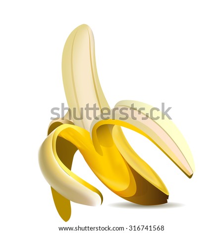 Isolated banana, fruit on white background. Vector illustration. EPS