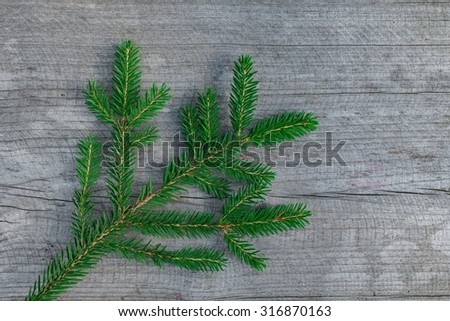 Fir tree twig on grey wooden background, top view