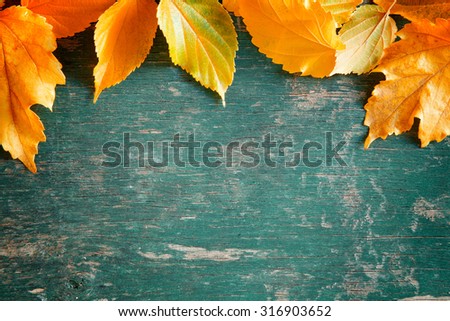 Close up photograph of a colorful fall backdrop