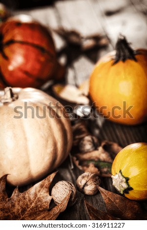 Autumn decoration with walnuts and pumpkins 