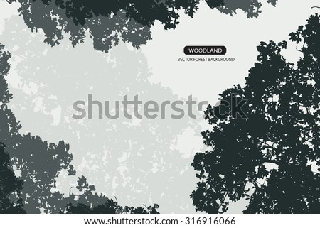 Trees and branches silhouette in aqua. Detailed vector illustration. Forest banner.