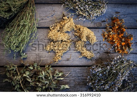 Assorted natural medical dried herbs