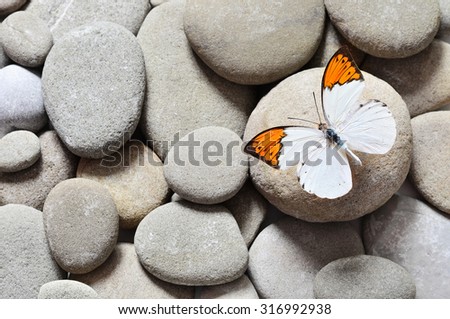 Butterfly and stones as background