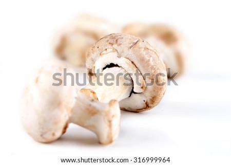 Studio shot of champignones on white background