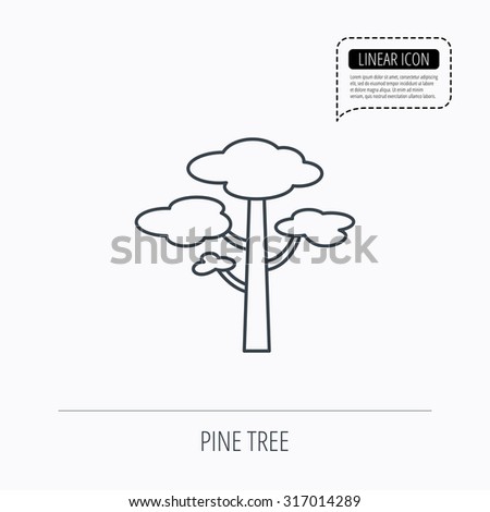 Pine tree icon. Forest wood sign. Nature environment symbol. Linear outline icon. Speech bubble of dotted line. Vector