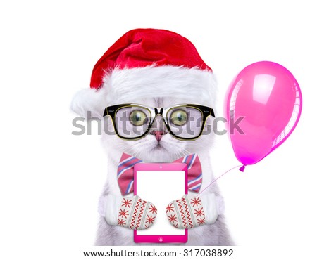 Smart and beautiful cat in a Christmas costume is holding a board. New Year's holidays